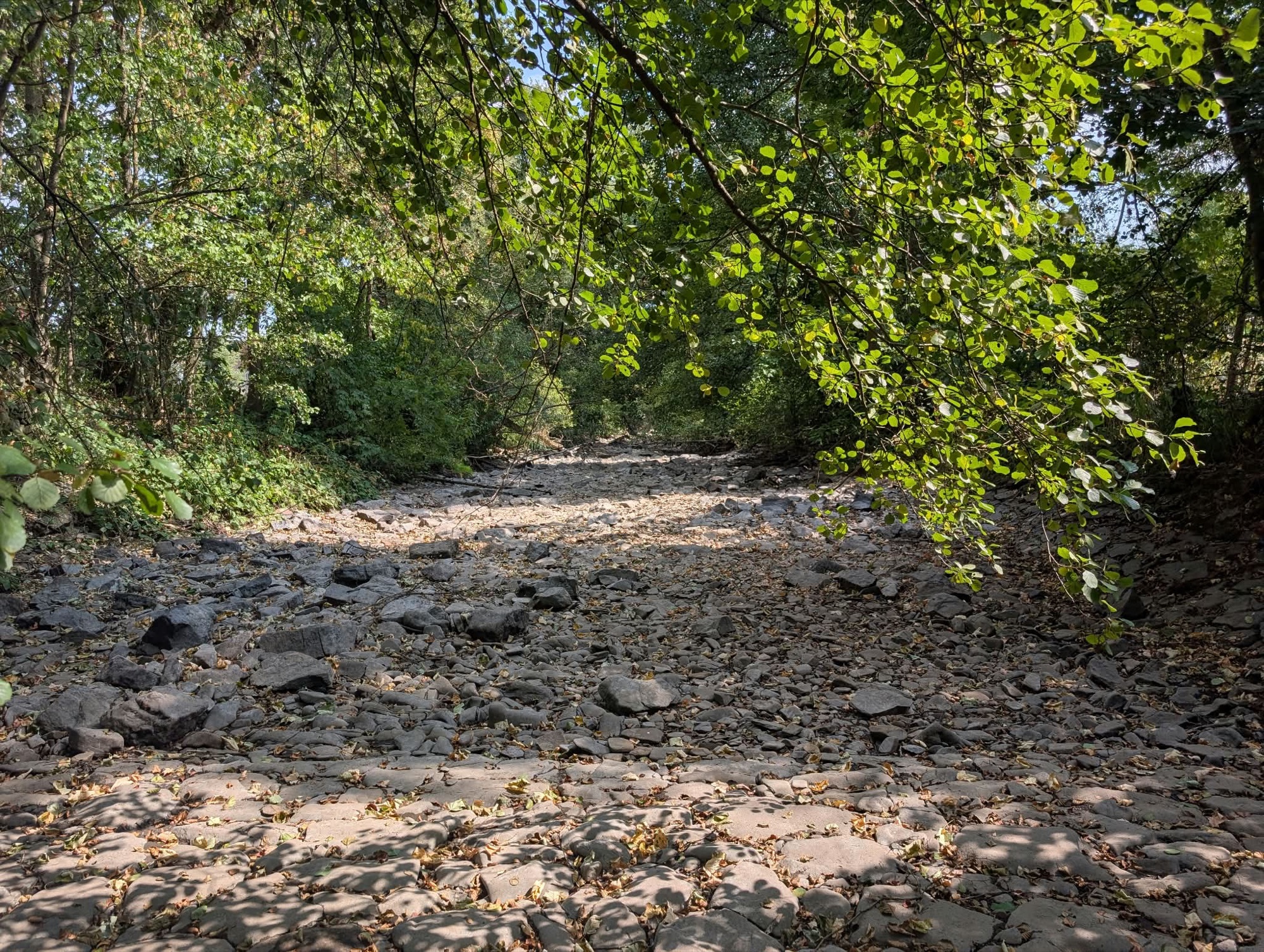 Trockengefallenes Flussbett der oberen Lahn bei Wallau