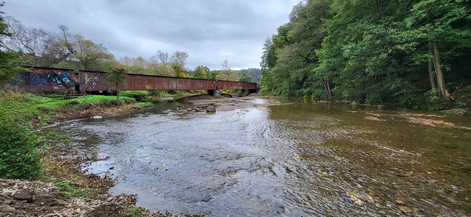 Abgeschobene Kiesbänke vor einer Brücke bis auf das Sohlniveau unter Beibehalt von Kiesbänken unterhalb der Brücke für Aufwuchshabitate von Äschen im nächsten Frühjahr.